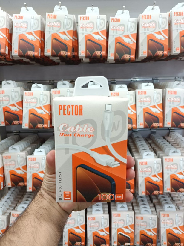 کابل شارژ اورجینال پکتور PECTOR تایپ سی پکدار PX-105T/100W